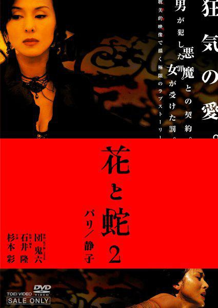 金陵秘事電視劇免費觀看